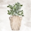 Picture of TERRACOTTA VASE 2