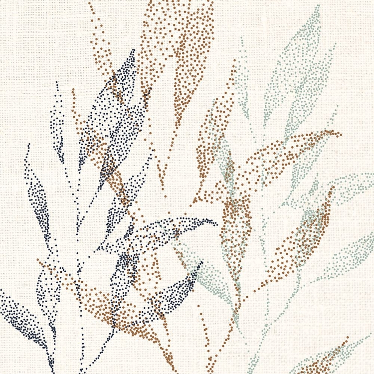 Picture of SPOTS 2