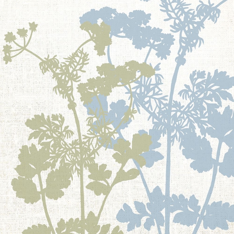 Picture of FADED LINEN 2