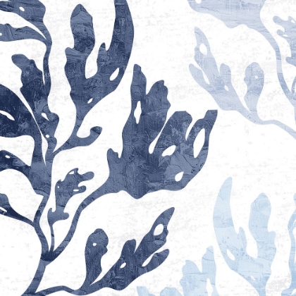 Picture of SEAWEED TONE 1 V2