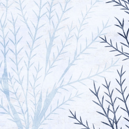 Picture of SEAWEED TONE 2 V2