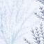 Picture of SEAWEED TONE 2 V2