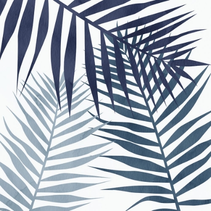 Picture of IN THE SHADE BLUES