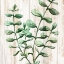 Picture of WOODEN GREENS SQUARE 2