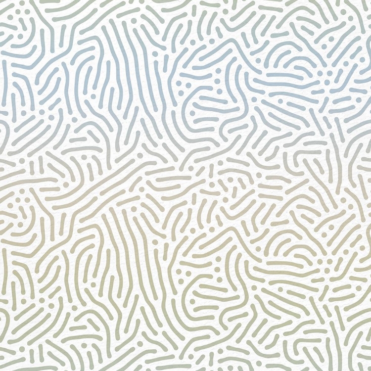 Picture of ORGANIC SQUARE 1