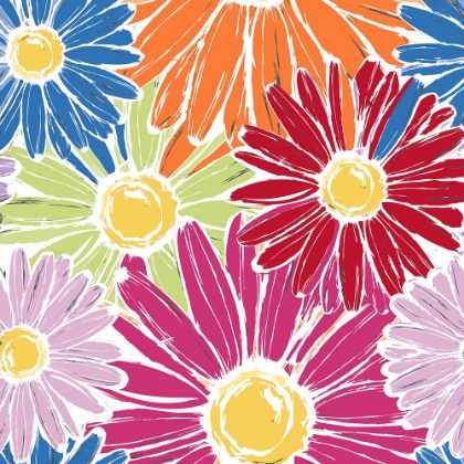 Picture of DAISY POWER V3