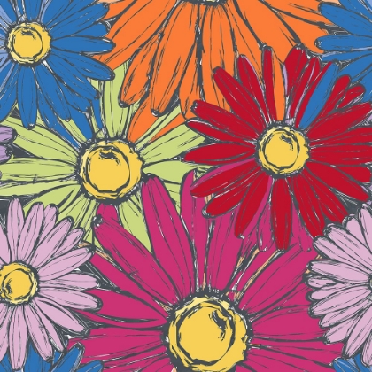 Picture of DAISY POWER 2