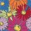 Picture of DAISY POWER 2