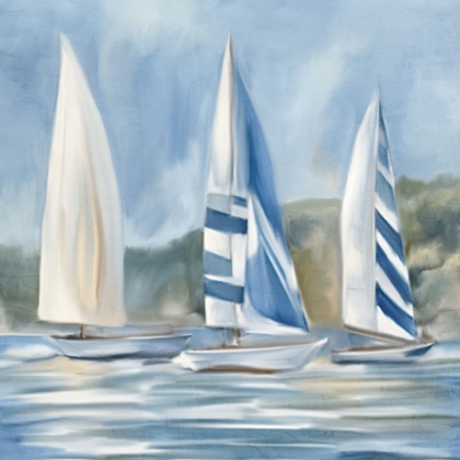 Picture of SAILBOAT DAY 1