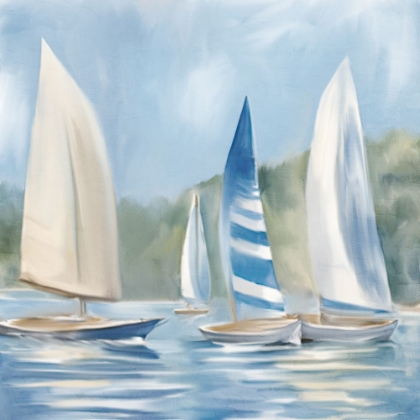Picture of SAILBOAT DAY 2