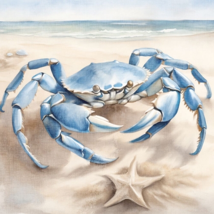 Picture of CRAB BEACH 1