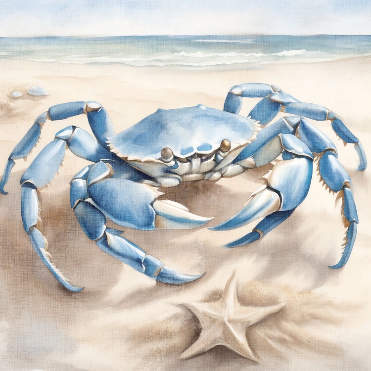 Picture of CRAB BEACH 1