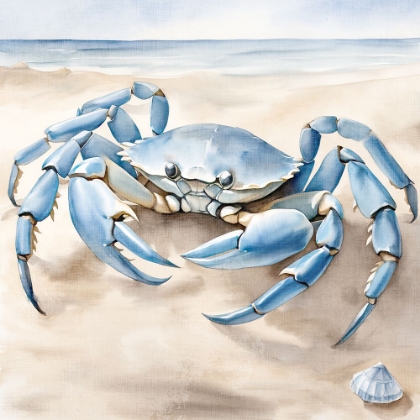 Picture of CRAB BEACH 2