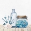 Picture of CORAL SHELF 2 V2
