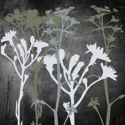 Picture of FIELD FLORAL 1