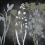 Picture of FIELD FLORAL 2