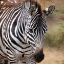 Picture of UP CLOSE 2