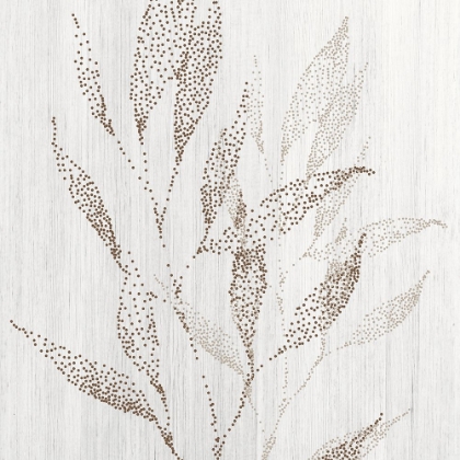 Picture of BOTANICAL DRFIT 2