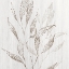 Picture of BOTANICAL DRFIT 2