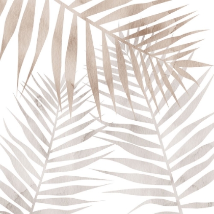 Picture of NEUTRAL SHADES 1