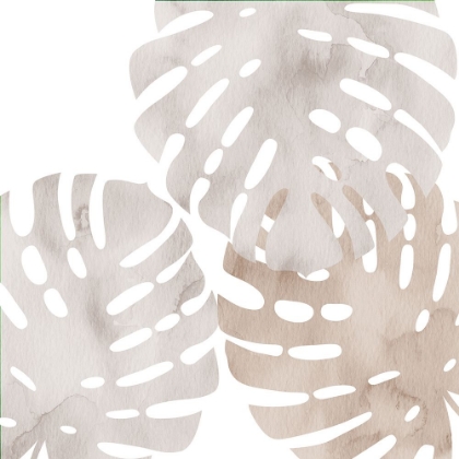 Picture of NEUTRAL SHADES 2