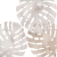 Picture of NEUTRAL SHADES 2