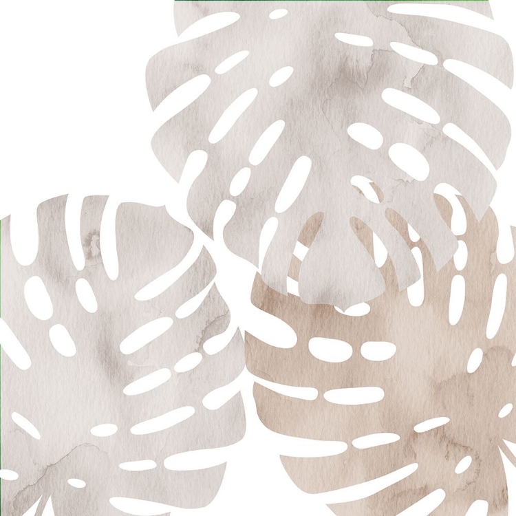 Picture of NEUTRAL SHADES 2