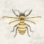 Picture of HONEYBEE 1