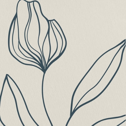 Picture of SKETCH 1