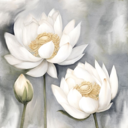 Picture of WHITE LOTUS 1