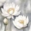 Picture of WHITE LOTUS 1