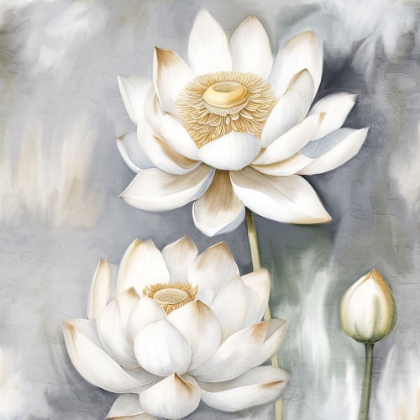 Picture of WHITE LOTUS 2