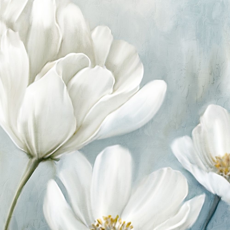 Picture of WHITE BLOOMS 1