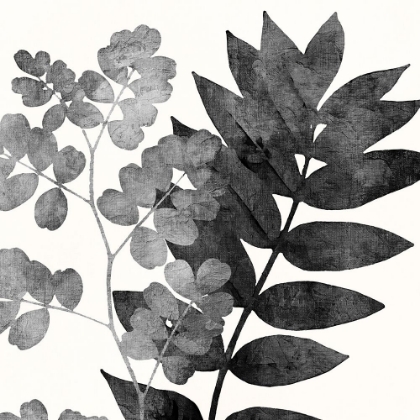 Picture of IMPRINT LEAVES 1