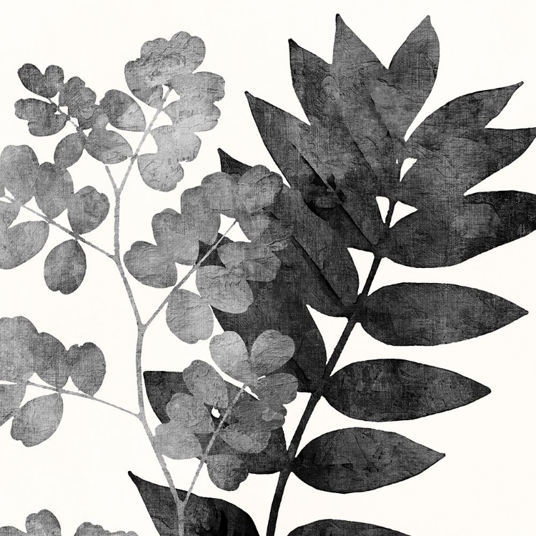 Picture of IMPRINT LEAVES 1