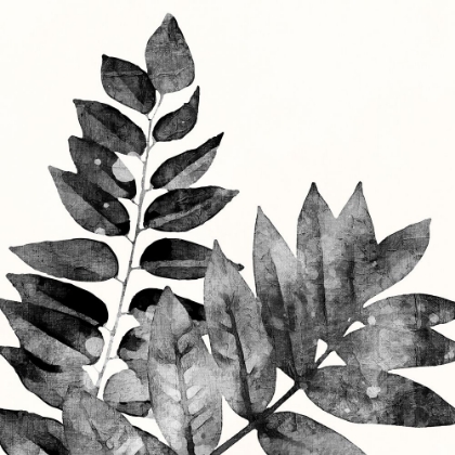 Picture of IMPRINT LEAVES 2