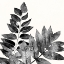 Picture of IMPRINT LEAVES 2