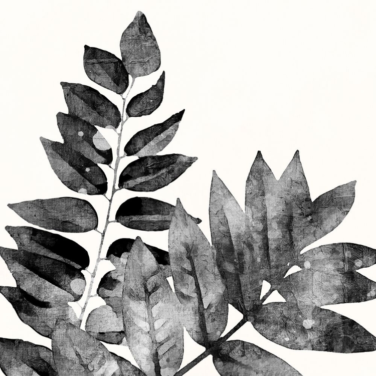 Picture of IMPRINT LEAVES 2
