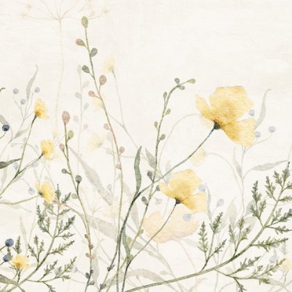 Picture of WILDFLOWER YELLOW 1