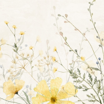 Picture of WILDFLOWER YELLOW 2