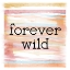 Picture of FOREVER WILD