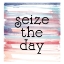Picture of SEIZE
