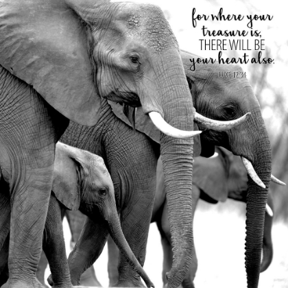 Picture of TREASURE ELEPHANTS