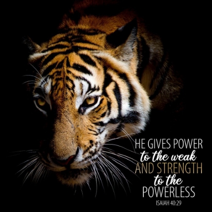 Picture of POWER