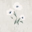 Picture of ANEMONE STEMS 1