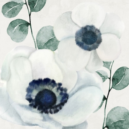 Picture of ANEMONES 1