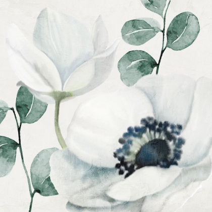 Picture of ANEMONES 2