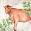 Picture of FARM ANIMALS 2