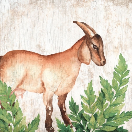 Picture of FARM ANIMALS 3