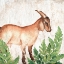 Picture of FARM ANIMALS 3